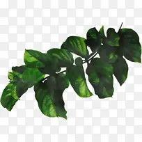 水彩画 油漆 湿墨-空若网 水彩画 油漆 湿墨-空若网