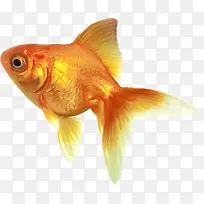 水彩画 油漆 湿墨水-空若网 水彩画 油漆 湿墨水-空若网