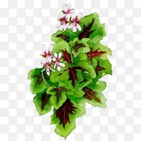 ˮ�� ���� ʪī-������