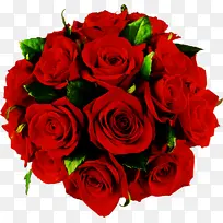 采购产品花 玫瑰 花园玫瑰-空若网 采购产品花 玫瑰 花园玫瑰-空若网