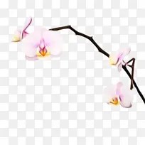 水彩画 颜料 湿墨-空若网 水彩画 颜料 湿墨-空若网