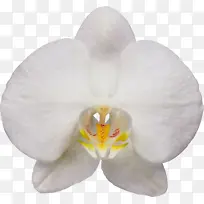 水彩画 颜料 湿墨-空若网 水彩画 颜料 湿墨-空若网