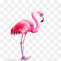 »ðÁÒÄñË®²Ê»-»ðÁÒÄñ-¿ÕÈôÍø »ðÁÒÄñË®²Ê»-»ðÁÒÄñ-¿ÕÈôÍø