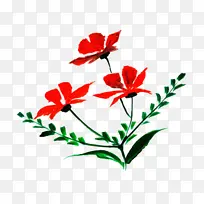 花 开花植物 红色-空若网 花 开花植物 红色-空若网