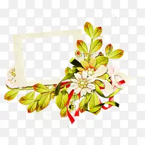 花 植物 切花-空若网 花 植物 切花-空若网