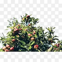 水彩 油漆 湿墨-空若网 水彩 油漆 湿墨-空若网