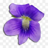 水彩画 颜料 湿墨-空若网 水彩画 颜料 湿墨-空若网