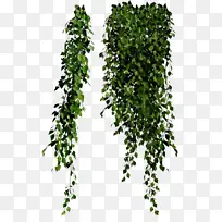 水彩画 油漆 湿墨-空若网 水彩画 油漆 湿墨-空若网