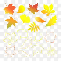 叶子 黄色 树-空若网 叶子 黄色 树-空若网