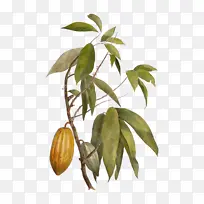 水彩画 油漆 湿墨-空若网 水彩画 油漆 湿墨-空若网