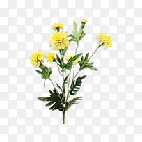 水彩画 颜料 湿墨-空若网 水彩画 颜料 湿墨-空若网