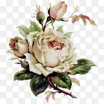 水彩画 颜料 湿墨-空若网 水彩画 颜料 湿墨-空若网