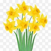 黄色 花 切花-空若网 黄色 花 切花-空若网