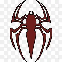 爪 十足目 对称-空若网 爪 十足目 对称-空若网