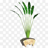 ˮ�ʻ� ���� ʪī-������