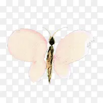 �������� ���� ����-������