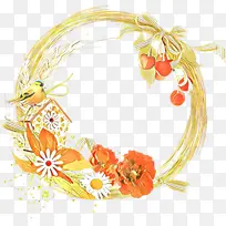 ��ͨ ֲ��-������