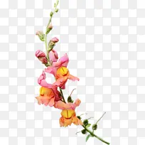 水彩 油漆 湿墨-空若网 水彩 油漆 湿墨-空若网