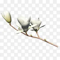 �������� ���� ����-������