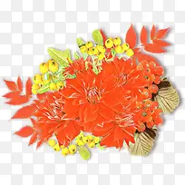 卡通 花卉 橙色-空若网 卡通 花卉 橙色-空若网