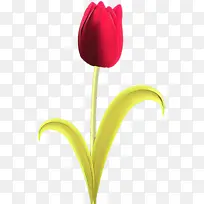 卡通 花朵 郁金香-空若网 卡通 花朵 郁金香-空若网