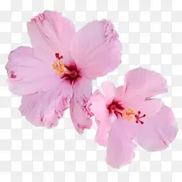 水彩 颜料 湿墨-空若网 水彩 颜料 湿墨-空若网