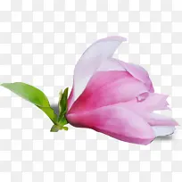 ˮ�� ���� ʪī-������