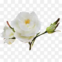 水彩 颜料 湿墨-空若网 水彩 颜料 湿墨-空若网