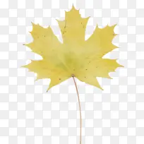 ˮ�� ���� ʪī-������