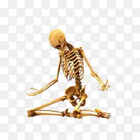 卡通 骨架 昆虫-空若网 卡通 骨架 昆虫-空若网