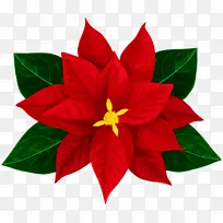 �� ��ɫ ����-������