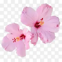 水彩 颜料 湿墨-空若网 水彩 颜料 湿墨-空若网