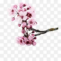 水彩 颜料 湿墨-空若网 水彩 颜料 湿墨-空若网