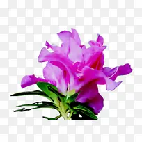 ˮ�� ���� ʪī-������