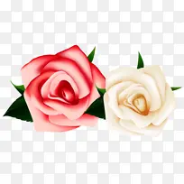 花园玫瑰 玫瑰 花朵-空若网 花园玫瑰 玫瑰 花朵-空若网