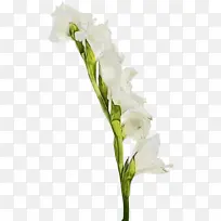 水彩 油漆 湿墨-空若网 水彩 油漆 湿墨-空若网