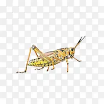 水彩 油漆 湿墨水-空若网 水彩 油漆 湿墨水-空若网