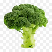 水彩 油漆 湿墨水-空若网 水彩 油漆 湿墨水-空若网