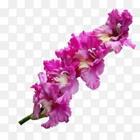 ˮ�� ���� ʪī-������