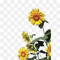 水彩画 颜料 湿墨-空若网 水彩画 颜料 湿墨-空若网