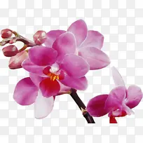 水彩画 颜料 湿墨-空若网 水彩画 颜料 湿墨-空若网