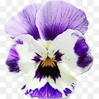 ˮ�ʻ� ���� ʪī-������