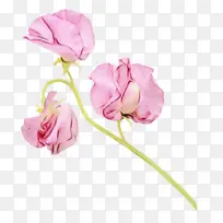 水彩 油漆 湿墨-空若网 水彩 油漆 湿墨-空若网