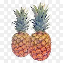 ���� ˮ�� ��ȻʳƷ-������