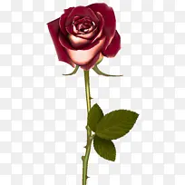 »¨¶ä õ¹å »¨Ô°Ãµ¹å-¿ÕÈôÍø »¨¶ä õ¹å »¨Ô°Ãµ¹å-¿ÕÈôÍø