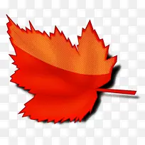 ��ɫ Ҷ�� ��-������