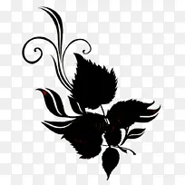 ��ë Ҷ�� ���-������