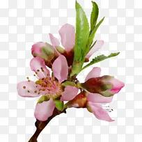 水彩 油漆 湿墨-空若网 水彩 油漆 湿墨-空若网