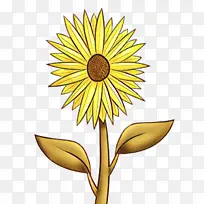 卡通 向日葵 黄色-空若网 卡通 向日葵 黄色-空若网