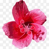 ˮ�� ���� ʪī-������